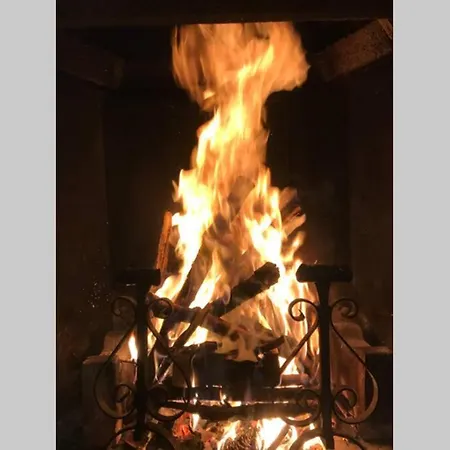 Traditional San Primo *