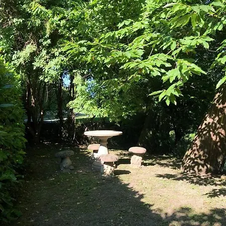 Traditional San Primo