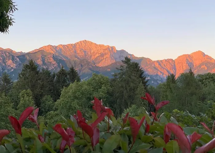 Traditional San Primo *