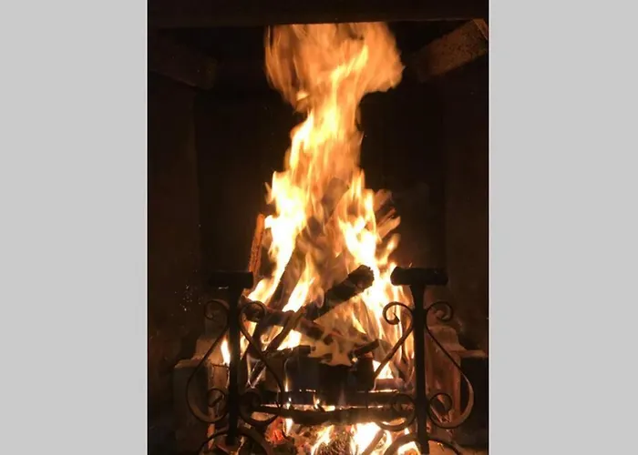 Traditional San Primo *