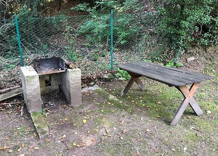 Traditional San Primo *